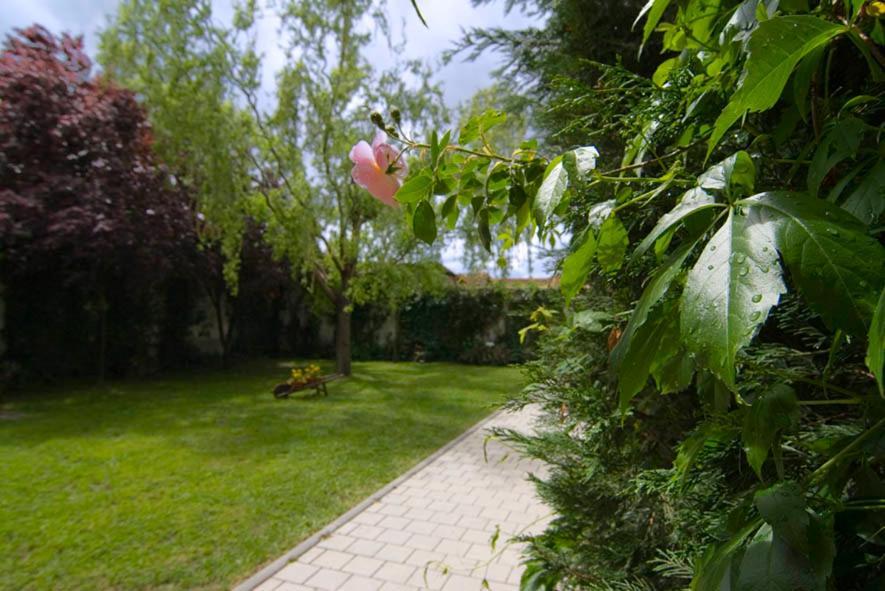 Villa El Molino Nieva  Exterior foto